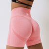 Seamless Yoga Shorts